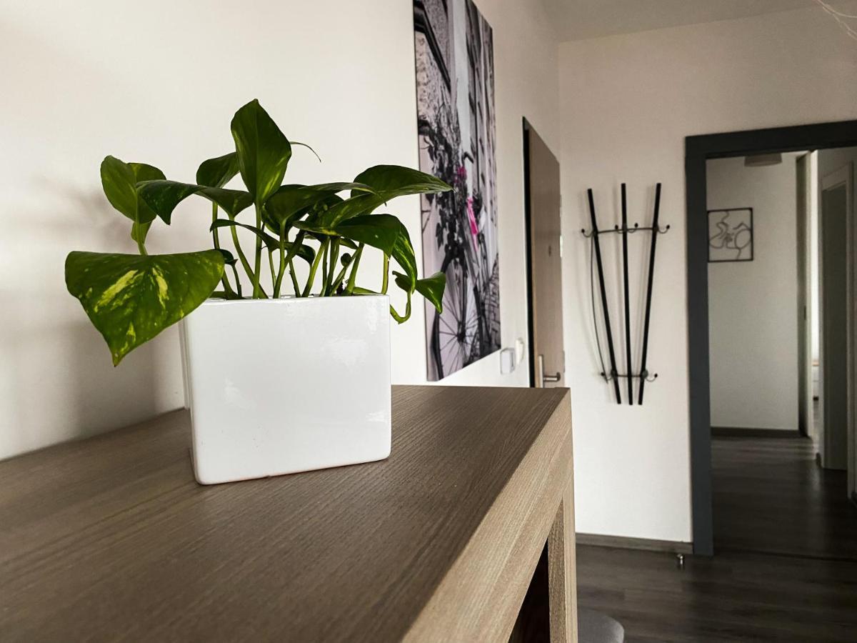 Cozy Residental Apartment Košice Εξωτερικό φωτογραφία